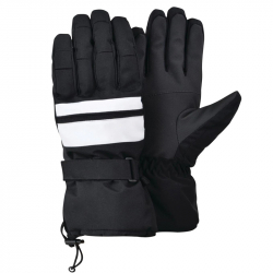 Winter Gloves