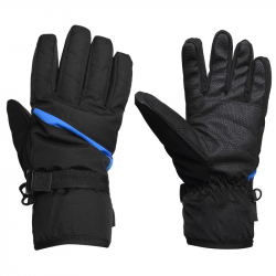 Winter Gloves